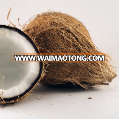 Mature coconut 2018 crop sweet water