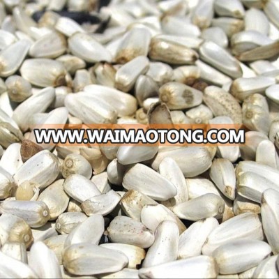 Safflower seed 2018 BANGLADESH ORIGIN